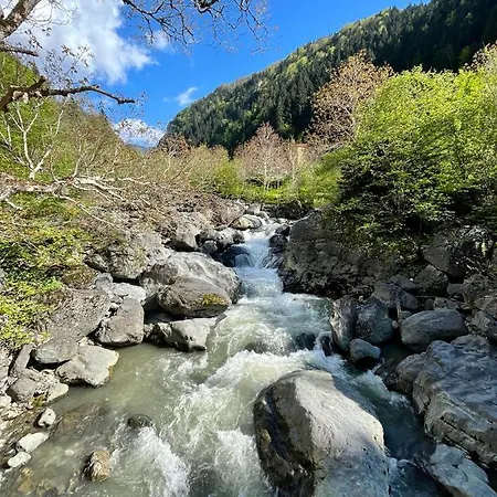 Ξενοδοχείο Pazarcik Mountain 3*